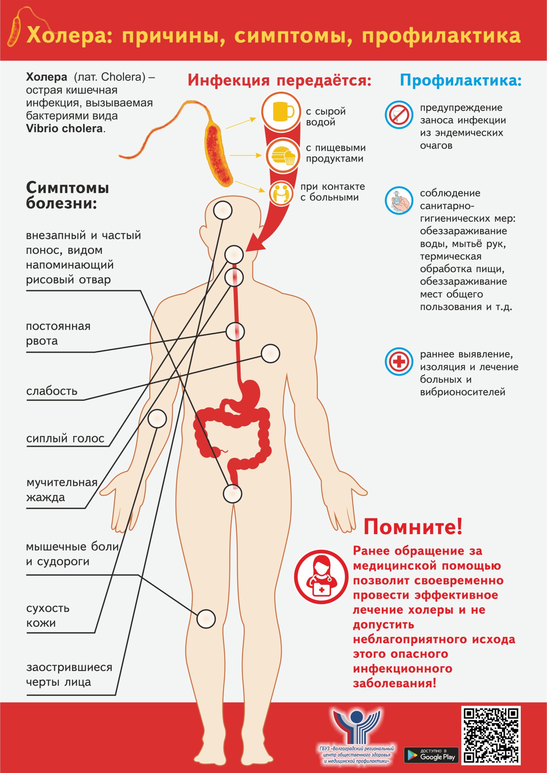 Клиническая картина холеры